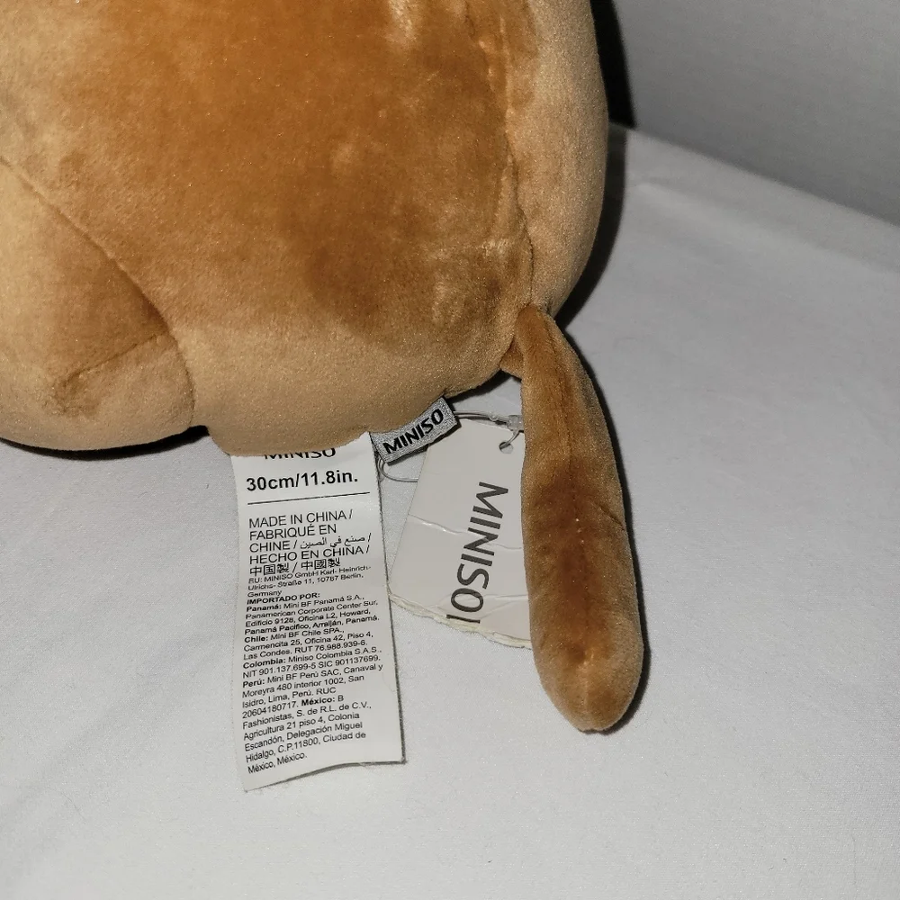 Miniso 12